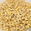 【SF】新鲜黄豆嘴 新鲜非转基因农家优质豆嘴 商品缩略图1