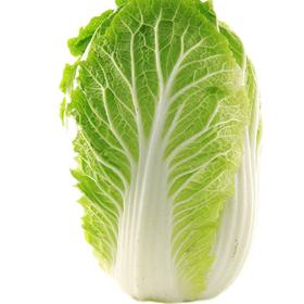 【SF】大白菜  农家新鲜蔬菜 自种大白菜