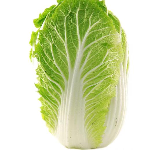 【SF】大白菜  农家新鲜蔬菜 自种大白菜 商品图0