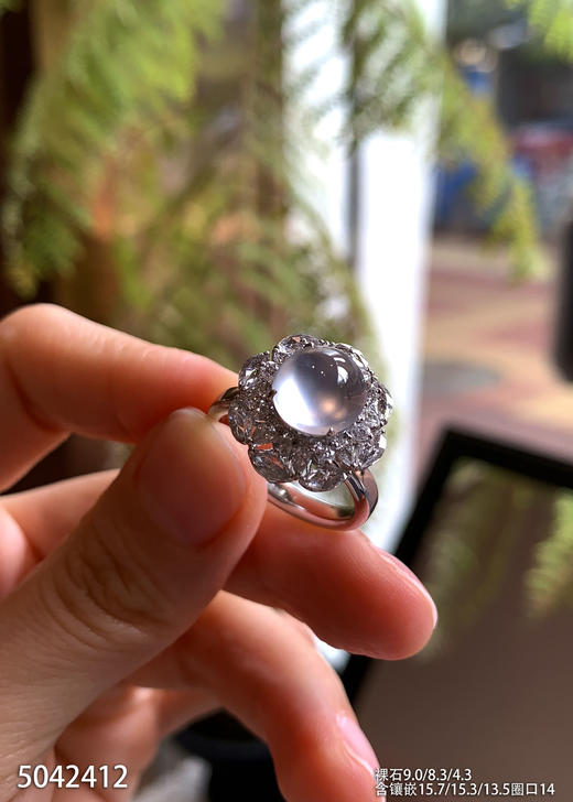 5042412，蛋面戒指。具体价格微信咨询 商品图1
