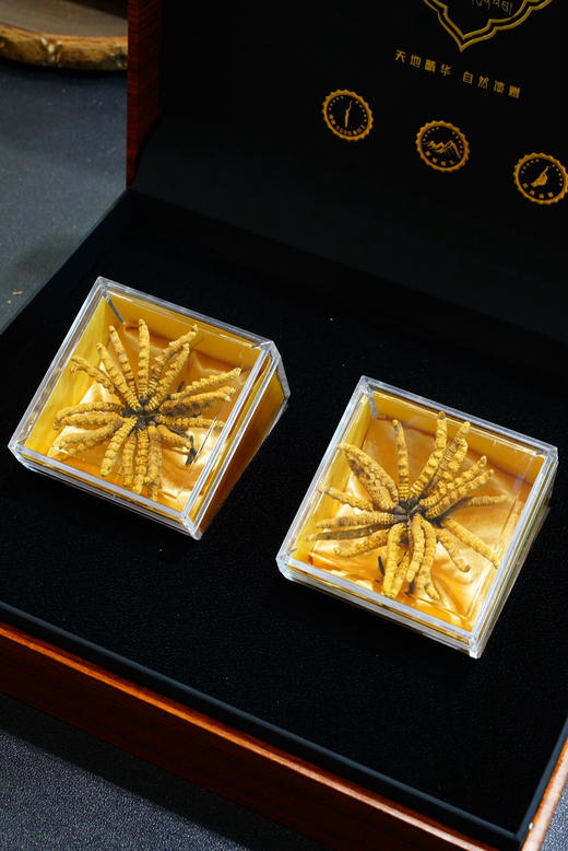 虫草10克礼盒装 商品图0