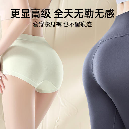 女士莫代尔性感蕾丝高腰收腹提臀燕窝内裤三角裤2950 商品图4