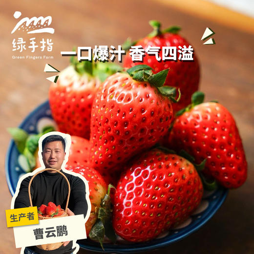 生态草莓（河南）  |合作生产 * Ecological strawberry | Coproduction 商品图0