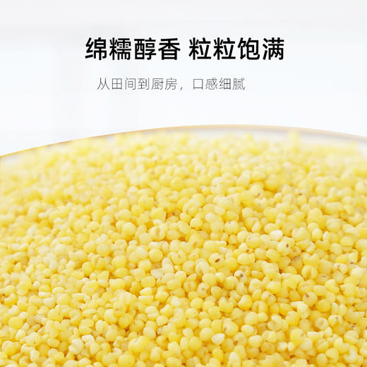 【陇间柒月】掌声谷励礼盒2.5kg 商品图2