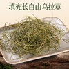 东北三宝 天然乌拉草 U型枕头  草本 商品缩略图4