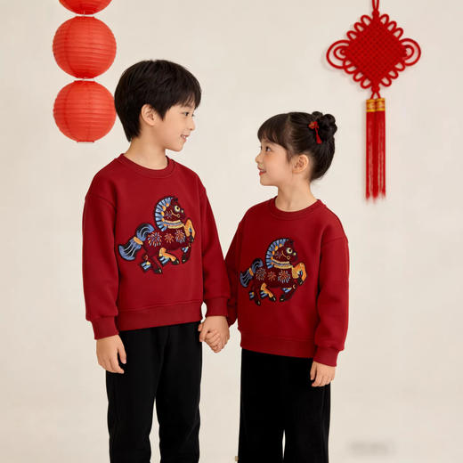兄妹新年红加厚绒卫衣！2025马年新款高级重工刺绣男宝女宝儿童拜年服！ 商品图1