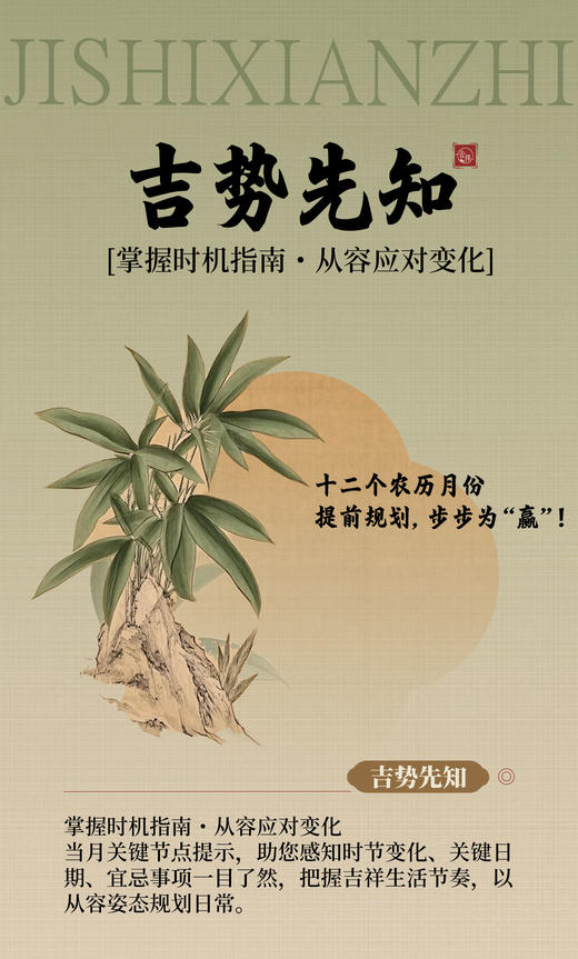 【吉祥会员】新春特惠价99元！赠马年能量包，每月生肖、壁纸、yun势，等多方位吉祥会员专属服务 商品图3
