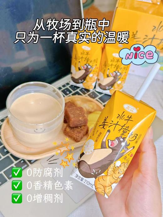 💥【左江·水牛姜汁撞奶】广西水牛奶+小黄姜+古法红糖 ❤️ 🌸三重暖意，一口入魂 | 从此“多喝热水”有了高阶替代品 商品图6