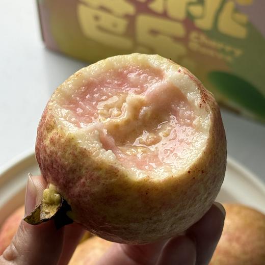 🍒 樱桃芭乐 · 树上熟 · 到货即食 · 口感软糯清甜 · 香味很好 · 吃起来很舒服 · 冷藏保存 商品图1