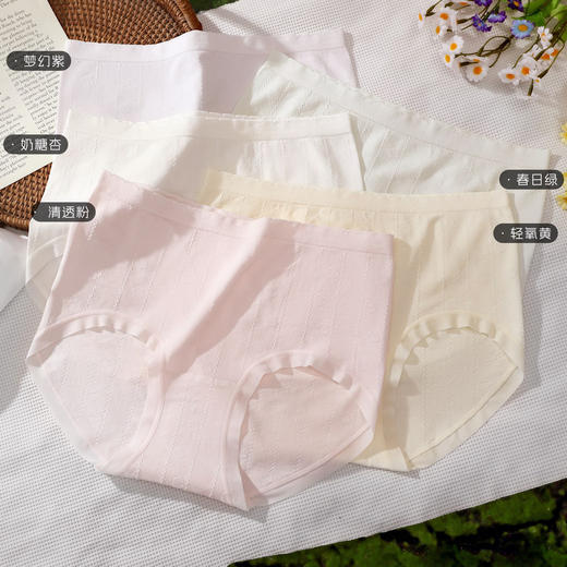 【3条装】女士莫代尔山茶花提花内裤三角裤【CSL25278】 商品图0