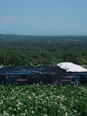 东北三宝 天然乌拉草 床垫 榻榻米定制