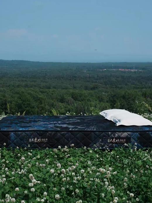 东北三宝 天然乌拉草 床垫 榻榻米定制 商品图0