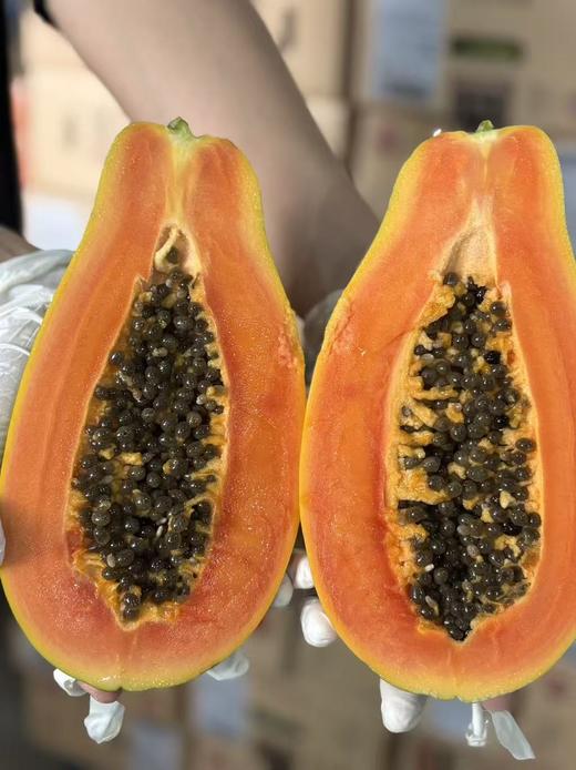 海南红心木瓜 礼盒装整箱6斤左右（约3颗） 商品图1