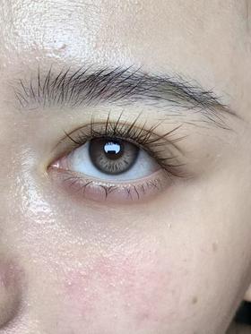 boompop日抛美瞳 香槟褐 14.5mm