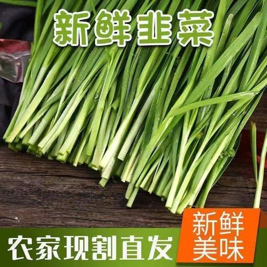 【SF】韭菜【新鲜韭菜 老根种植 细嫩多汁 口感鲜美】 商品图1