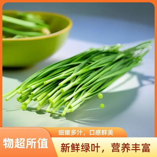 【SF】韭菜【新鲜韭菜 老根种植 细嫩多汁 口感鲜美】 商品图2