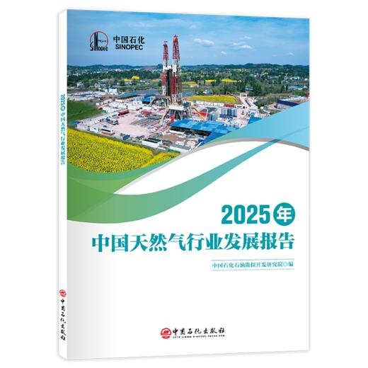 【官方旗舰店】2025年中国天然气行业发展报告 天然气行业发展指南 商品图0