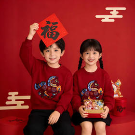 兄妹新年红加厚绒卫衣！2025马年新款高级重工刺绣男宝女宝儿童拜年服！