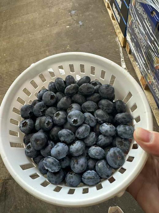 花香蓝莓桶 一桶约450克 香味浓郁 硬度好，口感超甜！大口过瘾吃蓝莓~ 商品图1