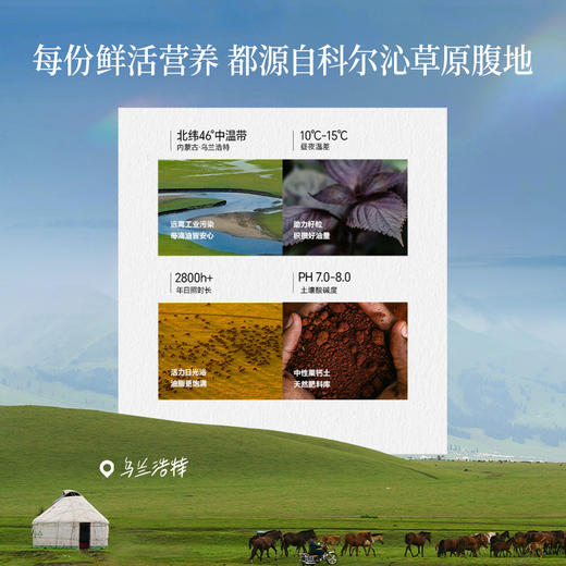 【OMEGA3系列】冷吃有机紫苏籽油100ml*5-会员专享 商品图3