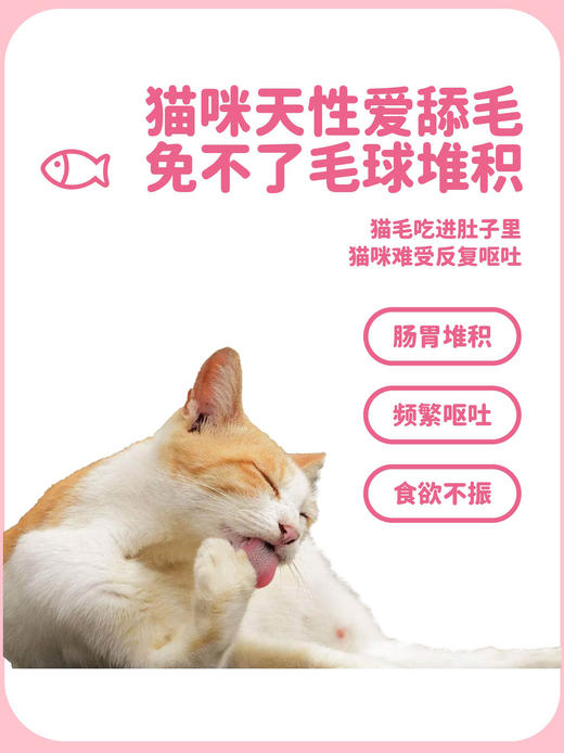 糗糗庄园-猫草化毛冻干片温和排毛-210片/瓶 商品图4
