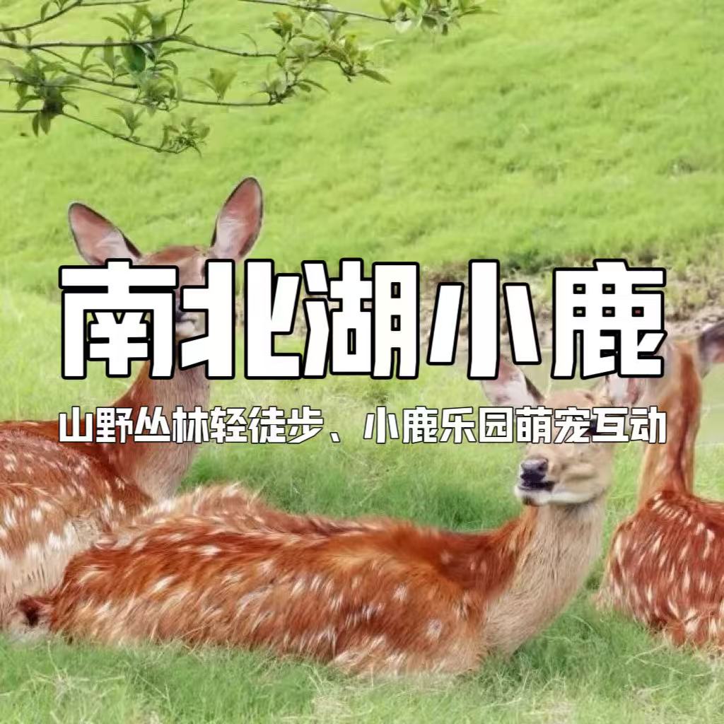 【亲子营】特惠￥99！南北湖1日趣玩 | 山野轻徒步，小鹿乐园萌宠互动，赴南北湖暖冬之约~