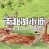 【亲子营】特惠￥99！南北湖1日趣玩 | 山野轻徒步，小鹿乐园萌宠互动，赴南北湖暖冬之约~ 商品缩略图0