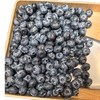 怡颗莓蓝莓 500g/盒 商品缩略图0