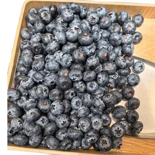 怡颗莓蓝莓 500g/盒 商品图0