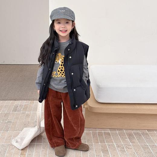 【新国标白鸭绒可溯源】儿童立领羽绒马甲女童韩版宽松保暖坎肩潮 商品图2