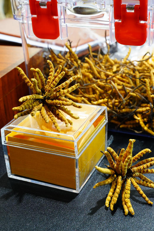 虫草10克礼盒装 商品图2