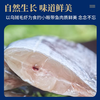 【咏礼记舟山小眼带鱼礼盒】来自北纬30°的一口鲜！全国首批海鲜类地理标志产品，油脂丰富，肉质鲜美。（48-72h发货） 商品缩略图6