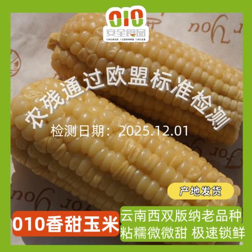 010甜糯玉米 生态生长玉米长短不一 大小不一 我们截取了最饱满的玉米段 西双版纳高山种植  甜糯易咀嚼 老人小孩放心吃 商品图0
