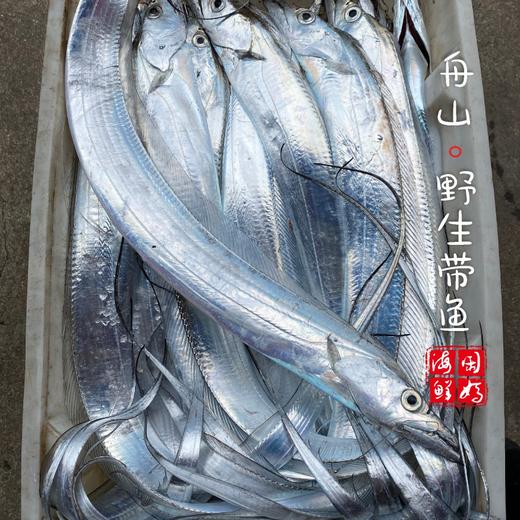 【闹妈海鲜】【鲜冻】舟山钓带 各种规格 商品图1
