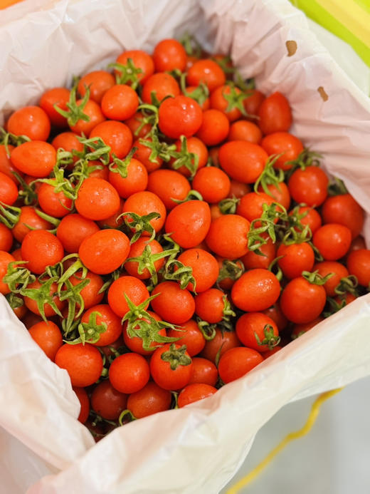 釜山小番茄礼盒装 毛重3斤左右 商品图0