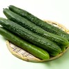 【SF】新鲜黄瓜 农家自种 新鲜蔬菜 商品缩略图0