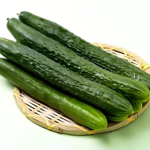 【SF】新鲜黄瓜 农家自种 新鲜蔬菜 商品图0