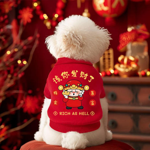 【恭喜发财宠物装】秋冬新年宠物衣服加绒两脚不掉毛猫咪衣服狗狗衣服秋冬款泰迪比熊博美。re 商品图0