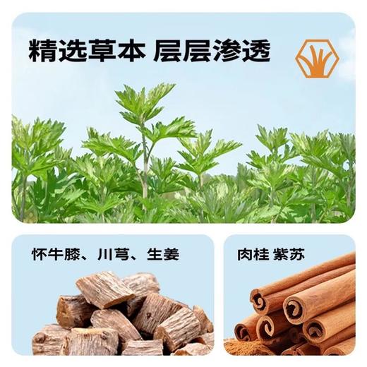 蔡氏福宁 怀牛膝暖膝贴（4片装） 商品图1