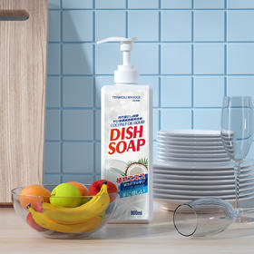 TENKOU RYUUGI HOME椰子油洗洁精800ml