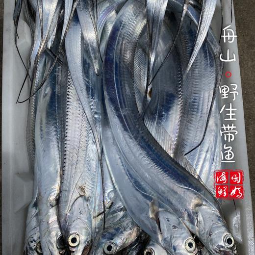 【闹妈海鲜】【鲜冻】舟山钓带 各种规格 商品图3