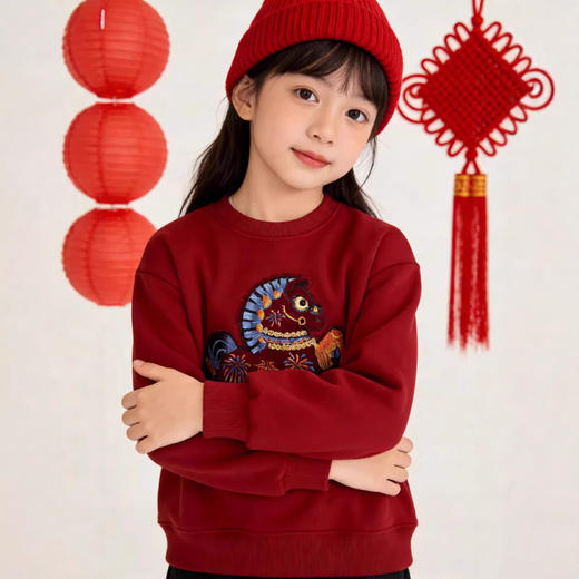 兄妹新年红加厚绒卫衣！2025马年新款高级重工刺绣男宝女宝儿童拜年服！ 商品图3