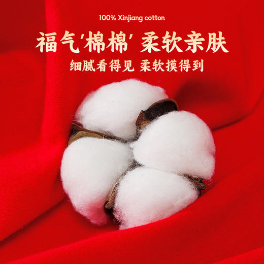 【积分超值兑】年货送礼！【俞兆林新年礼盒红套装9件套】事业更是一路长红！新年嫁娶喜庆必备！ 商品图5