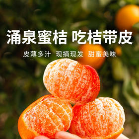 【涌泉蜜桔】台州临海无核橘子  4.5斤/5斤可选  （单果径55-80mm）