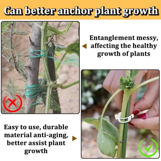 塑料园艺植物固定夹 番茄藤固定夹 攀援植物支撑夹 白色 一袋约100个 商品图5