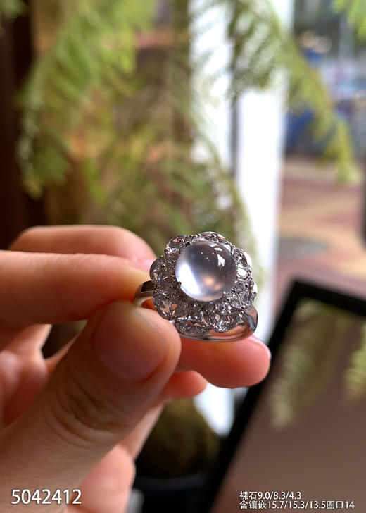 5042412，蛋面戒指。具体价格微信咨询 商品图2