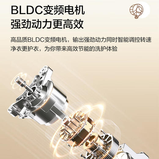 海尔（Haier）洗衣机 XQG100-21C2 商品图12