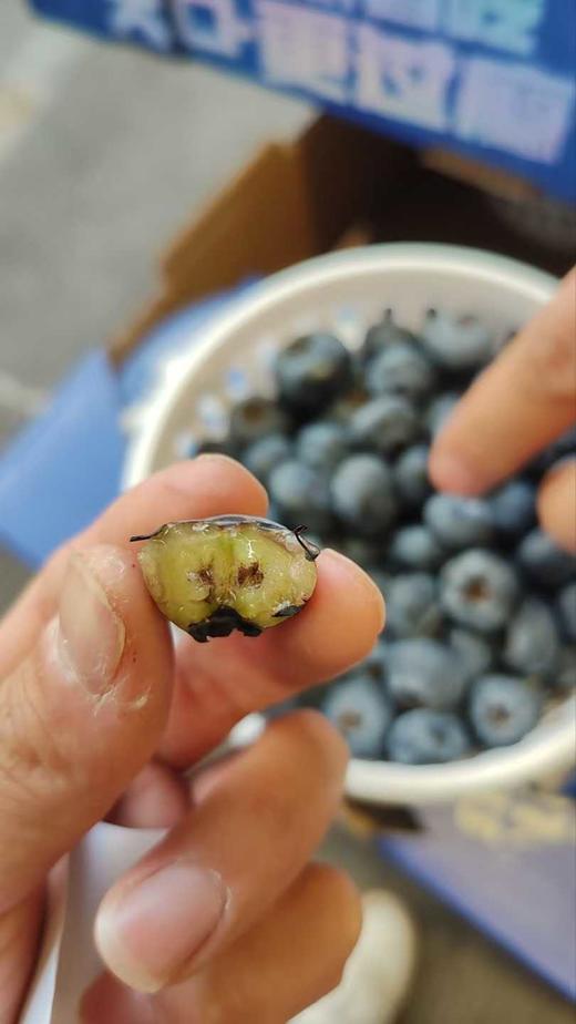 花香蓝莓桶 一桶约450克 香味浓郁 硬度好，口感超甜！大口过瘾吃蓝莓~ 商品图0
