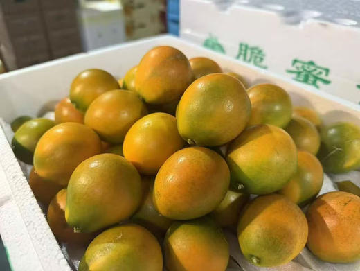 融安脆蜜金柑 商品图1