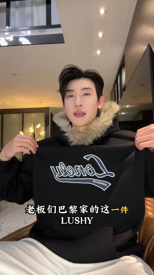 LD516SDSA男士秋冬新款痞帅男装美式潮牌刺绣字母毛领连帽卫衣百搭时尚 商品图0